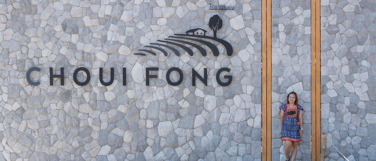 cover มาเชียงรายพลาดที่นี่ไม่ได้ ไร่ชาฉุยฟงและสิงห์ปาร์ค