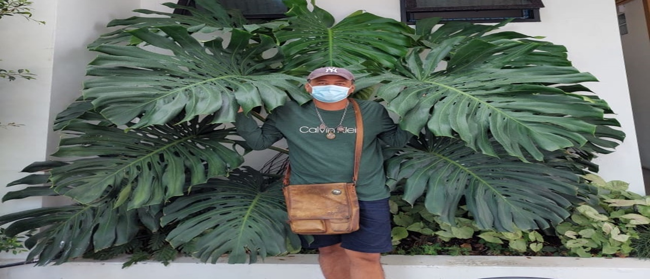 cover คาเฟ่แรกของปี Bluekoff coffee and eatery คาเฟ่ผักปลอดสารพิษ สระบุรี