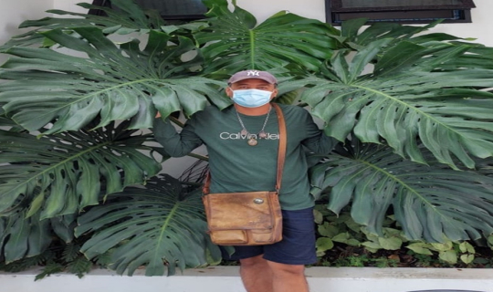 cover คาเฟ่แรกของปี Bluekoff coffee and eatery คาเฟ่ผักปลอดสารพิษ สระบุรี