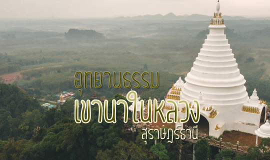 Cover ที่น่าเที่ยว อุทยานธรรมเขานาในหลวง จ.สุราษฎร์ธานี...