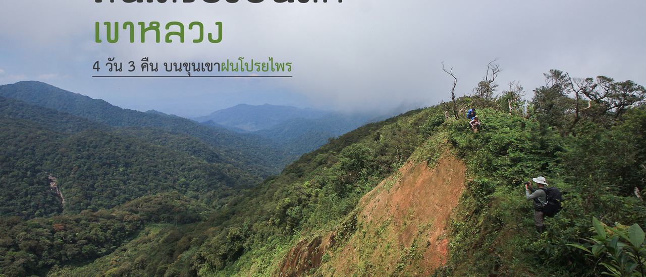 cover สันเครื่องบินตก เขาหลวง 4 วัน 3 คืน บนขุนเขาฝนโปรยไพร