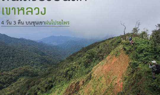 cover สันเครื่องบินตก เขาหลวง 4 วัน 3 คืน บนขุนเขาฝนโปรยไพร