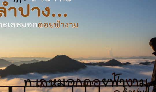 cover ดอยฟ้างาม ทะเลหมอกลำปาง 2 วัน 1 คืน