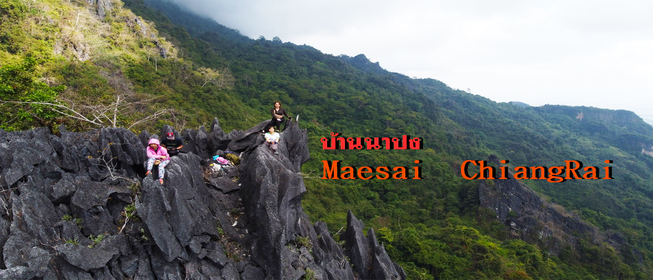 cover เดินป่า ปีนเขา บ้านนาปง แม่สาย