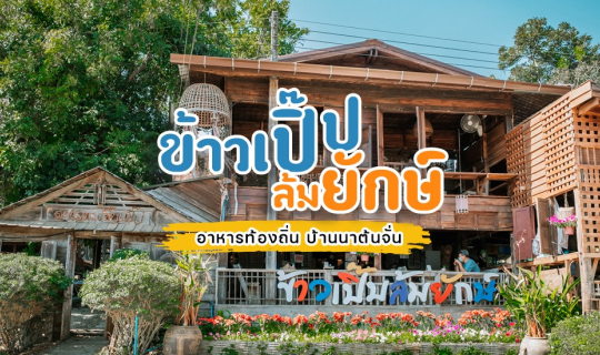 cover 💁🏻♀️ “ข้าวเปิ๊บล้มยักษ์" @ บ้านนาต้นจั่น อ.ศรีสัชนาลัย จ.สุโขทัย