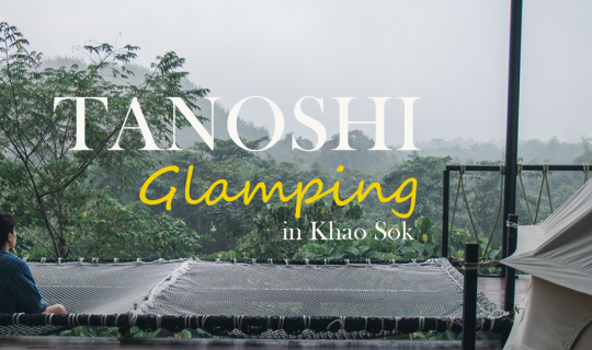 Cover Tanoshi Glamping in Khao Sok คืนเดียวไม่พอ...