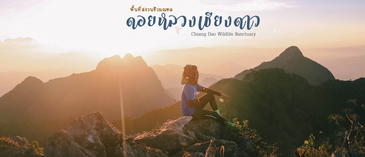 cover ดอยหลวงเชียงดาว เรื่องราวที่ฉันอยากบอก เปิดทุกขั้นตอนตั้งแต่ก่อนจอง จากประสบการณ์ตรง