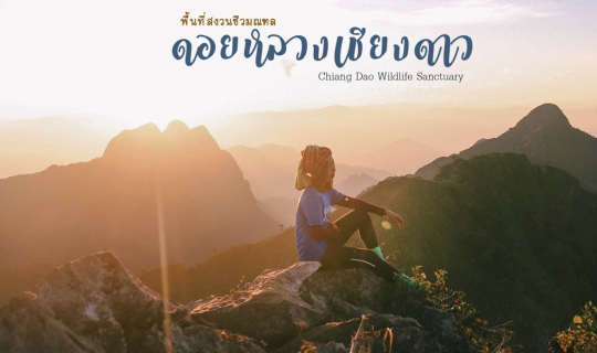 Cover ดอยหลวงเชียงดาว เรื่องราวที่ฉันอยากบอก เปิดทุกขั้นตอนตั้งแต่ก่อนจอง ...