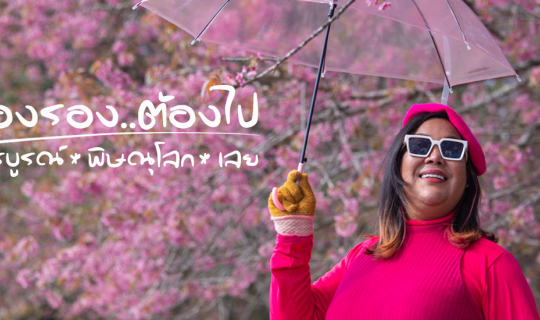 cover เมืองรอง ต้องไป : เพชรบูรณ์ – พิษณุโลก – เลย