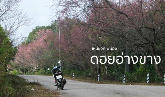 Cover บันทึกการเดินทาง : ครั้งแรกกับฝาง & ดอยอ่างขาง ไปกางเต็นท์ม่อนสน [by...
