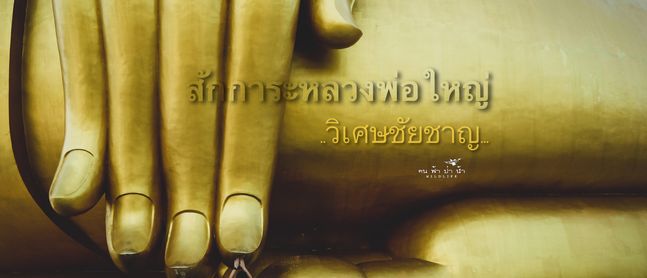 cover วัดม่วง สักการะหลวงพ่อใหญ่ วิเศษชัยชาญ…
