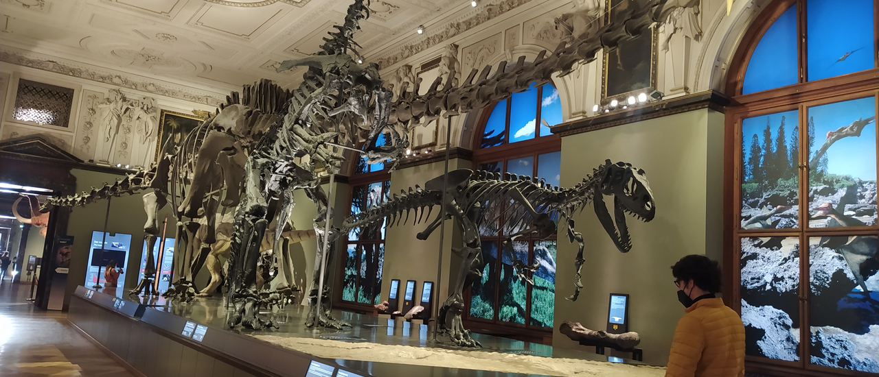 cover รีวิวลุยเดี่ยวเที่ยวยุโรปช่วงโควิด 15 วัน ตอน 6 สองวันในเวียนนา ลัลล้าใน Museum of natural history และ ทำความรู้จักกับ Sisi ใน Hofburg palace และ Schonbrunn palace