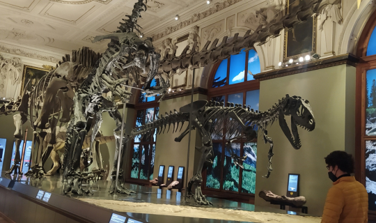 cover รีวิวลุยเดี่ยวเที่ยวยุโรปช่วงโควิด 15 วัน ตอน 6 สองวันในเวียนนา ลัลล้าใน Museum of natural history และ ทำความรู้จักกับ Sisi ใน Hofburg palace และ Schonbrunn palace