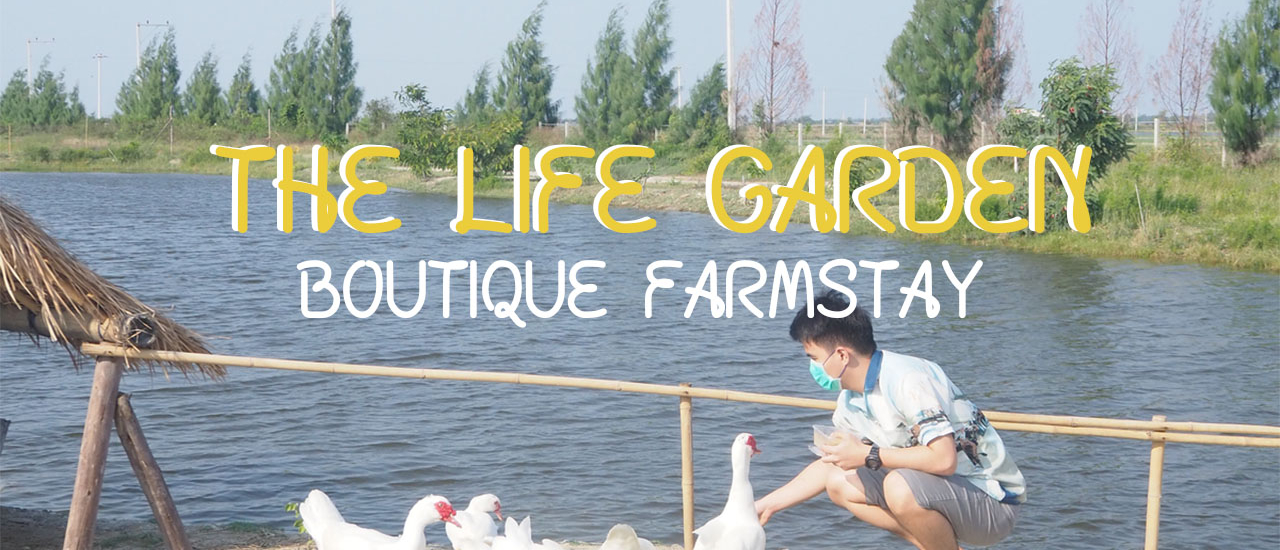 cover The Life Garden Boutique Farmstay ฟาร์มสเตย์ที่ชะอำ เลี้ยงสัตว์ ให้อาหารปลา