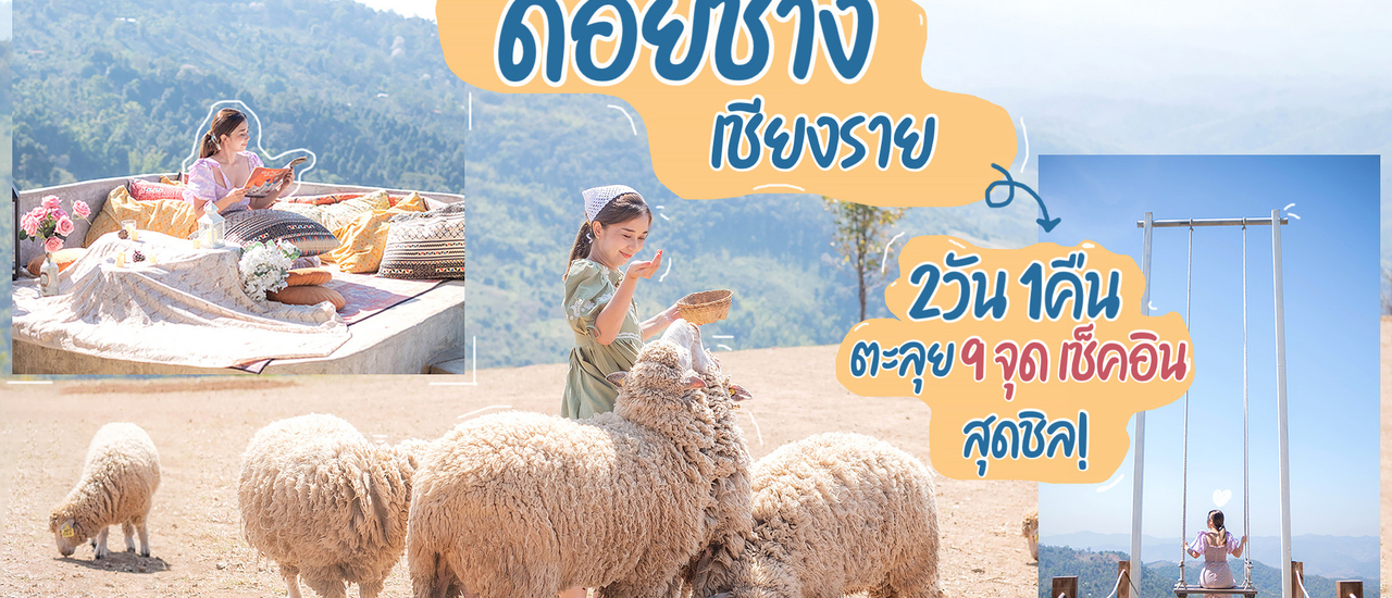 cover ดอยช้าง เชียงราย 2วัน 1คืน นอนชิลชมวิวดอยช้าง เดินเล่นกับน้องแกะ เช็คอินคาเฟ่วิวสวย