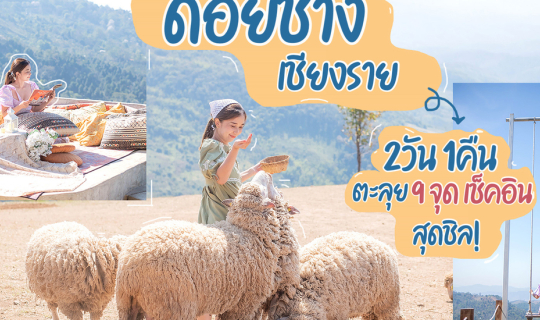 cover ดอยช้าง เชียงราย 2วัน 1คืน นอนชิลชมวิวดอยช้าง เดินเล่นกับน้องแกะ เช็คอินคาเฟ่วิวสวย