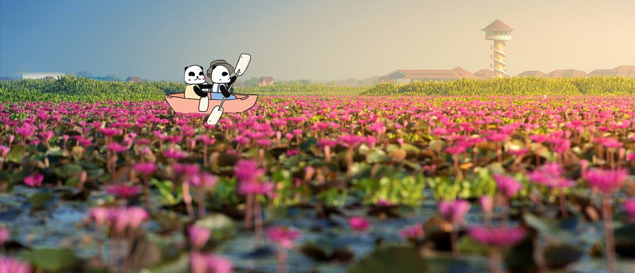 cover มอหมี ไปดู ยอยักษ์ พักชมทุ่งบัวแดง และลุยป่าอะเมซอนหนึ่งเดียวของไทย