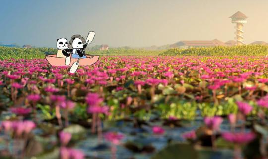 cover มอหมี ไปดู ยอยักษ์ พักชมทุ่งบัวแดง และลุยป่าอะเมซอนหนึ่งเดียวของไทย