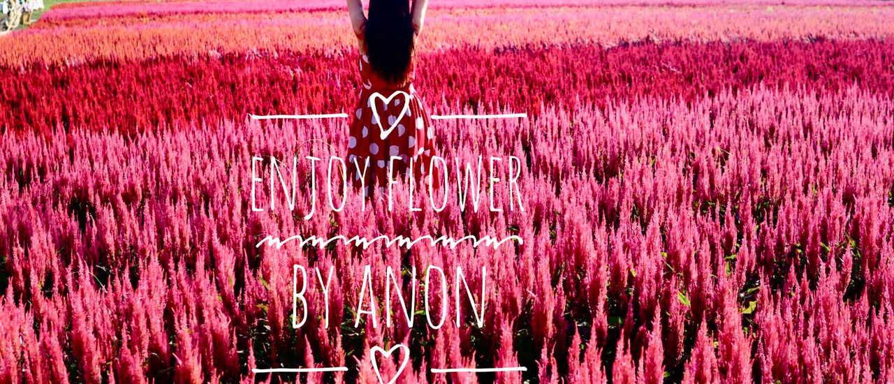 cover เที่ยวสวนดอกไม้ใกล้กรุง @ Enjoy Flowers by Anon