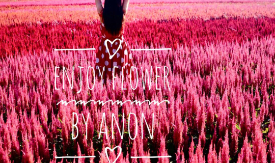 cover เที่ยวสวนดอกไม้ใกล้กรุง @ Enjoy Flowers by Anon