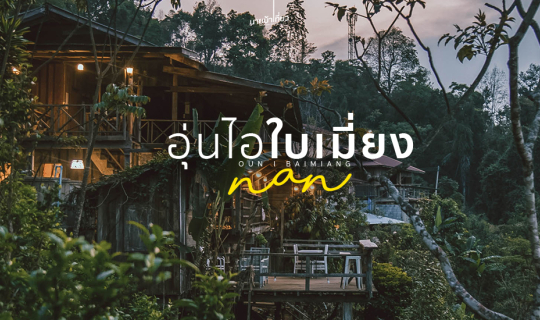 cover อุ่นไอใบเมี่ยง 🏠 โฮมสเตย์วิวพาโนรามา 🏠 ดอยสกาด ต.ปัว จ.น่าน 🌳