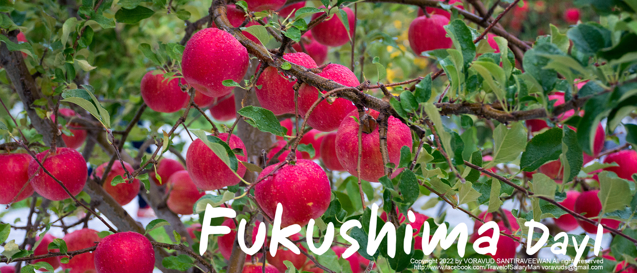 cover Road Trip Fukushima Day1