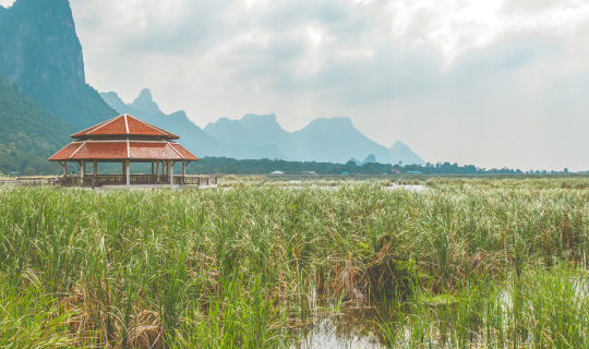 cover เดินเล่น ถ่ายรูป ชมวิวที่﻿อุทยานแห่งชาติเขาสามร้อยยอด