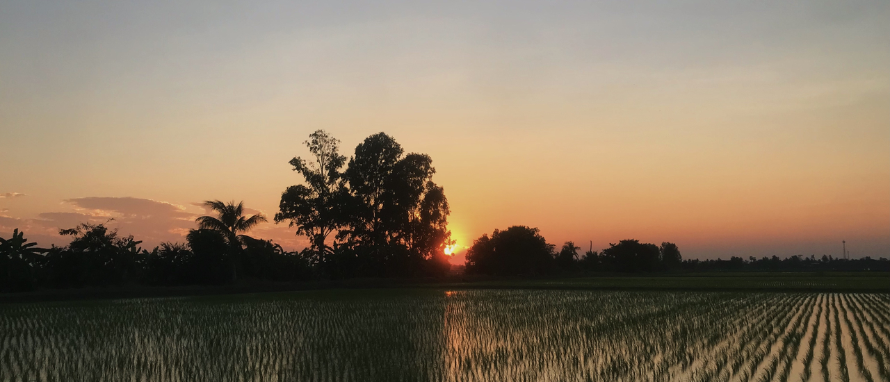 cover แช่อ่าง ดริปกาแฟ เก็บไข่ไก่ ชมวิวทุ่งนาสุพรรณบุรี