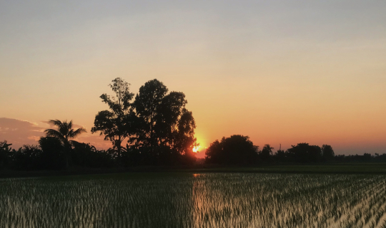 cover แช่อ่าง ดริปกาแฟ เก็บไข่ไก่ ชมวิวทุ่งนาสุพรรณบุรี