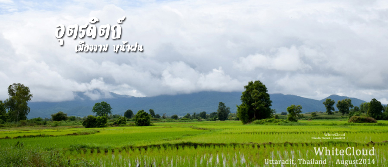 cover อุตรดิตถ์ เมืองงาม หน้าฝน : จิบชาที่ไร่องุ่น ..ตกเหล็ก บ่อเหล็กน้ำพี้ ..ชมต้นสักใหญ่ที่สุดในโลก ..หม่ำปลาเผาที่สันเขื่อน