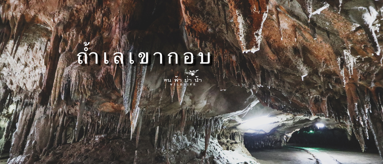 cover ถ้ำเลเขากอบ มหัศจรรย์ลอดท้องมังกร…