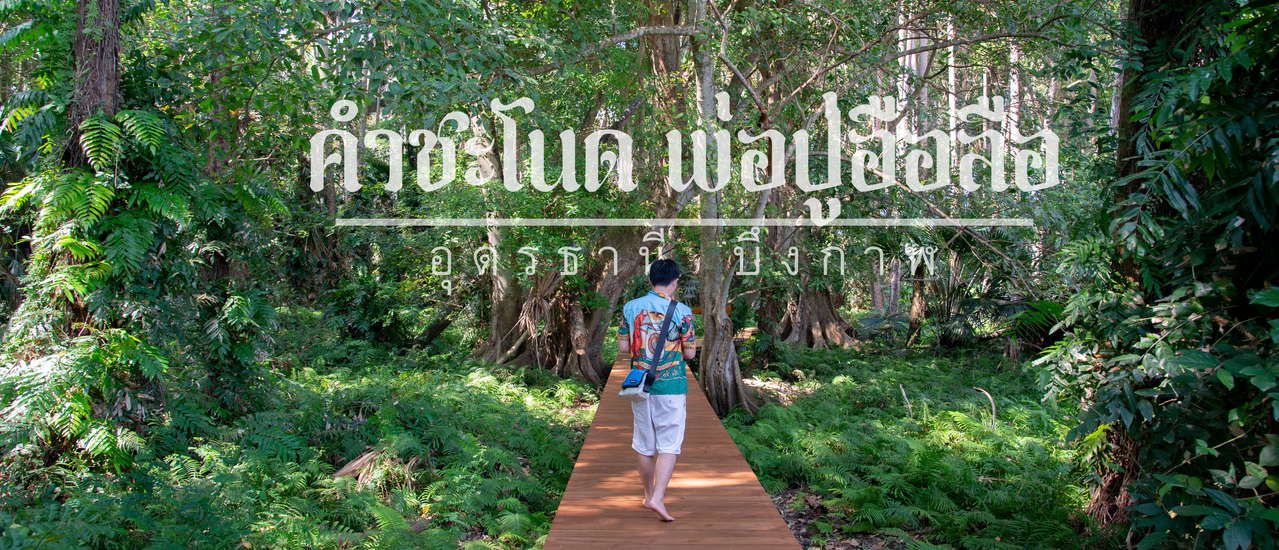 cover บ้านนาคาเฟ่ + คำชะโนด+เกาะดอนโพธิ์ / บึงกาฬ อุดรธานี ที่พัก ที่เที่ยว คาเฟ่