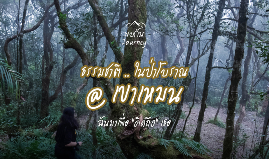 Cover ธรรมชาติในป่าโบราณ เขาเหมน | ฉันมาเพื่อ "คิดถึง" เธอ...
