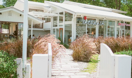 Cover Inthanin CU Co-Study Space Angsila | ชลบุรี...