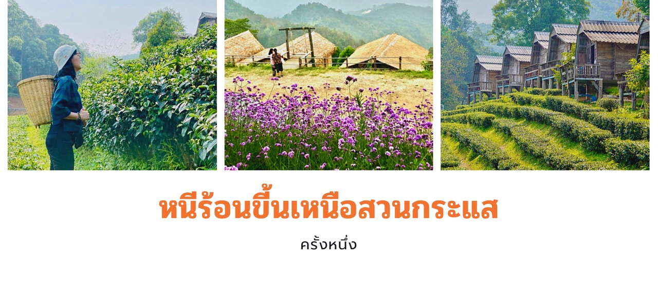 cover หนีร้อน ขึ้นเหนือสวนกระแส