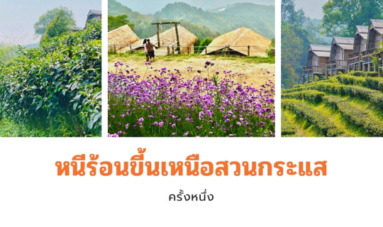 cover หนีร้อน ขึ้นเหนือสวนกระแส