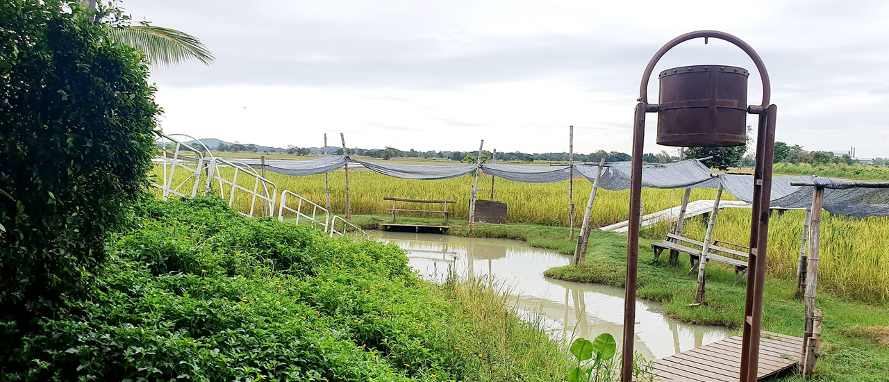 cover แลนมาร์คครบจบที่เดียว ข้าวทุ่งเบ็ญจาโฮมสเตย์ นครสวรรค์ อุทัยธานี ที่มีทั้งที่พัก คาเฟ่ ร้านอาหาร กิจกรรมสำหรับเด็ก มุมถ่ายรูป