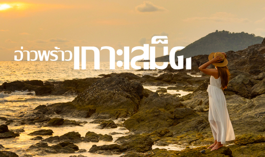 cover เกาะเสม็ดพักไหนดี  อ่าวพร้าว รีสอร์ท  นี้สิดี !!