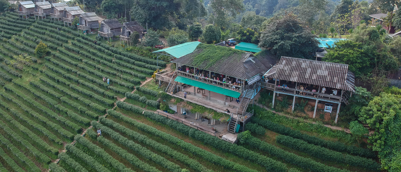 cover เชียงใหม่