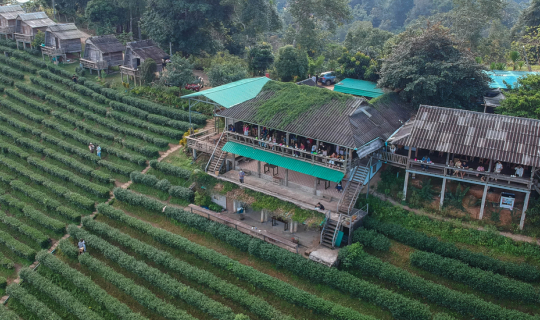 cover เชียงใหม่