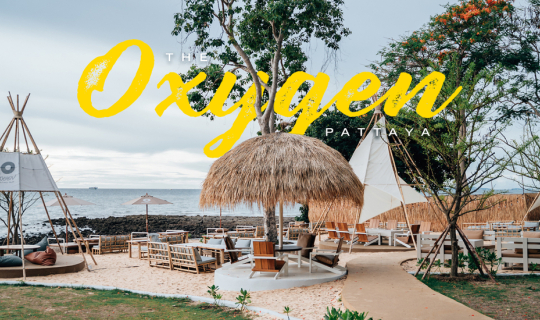 cover The Oxygen Pattaya ร้านอาหารที่น่าพากันมาชิล