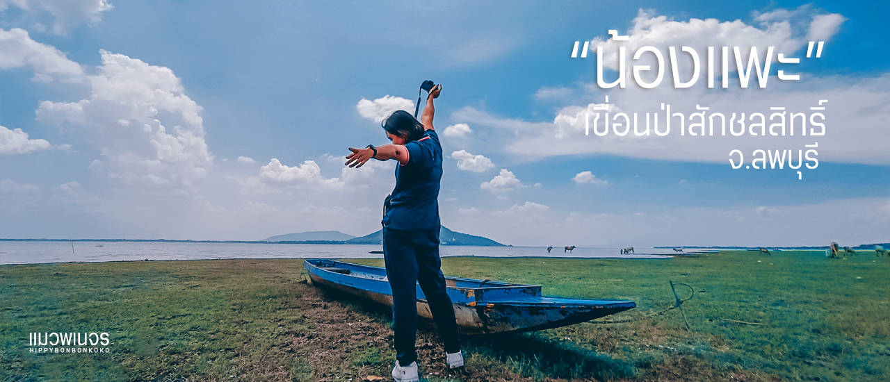 cover แวะชม น้องแพะ ที่ "เขื่อนป่าสักชลสิทธิ์" จ.ลพบุรี