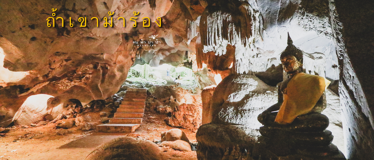 cover ถ้ำเขาม้าร้อง บางสะพาน