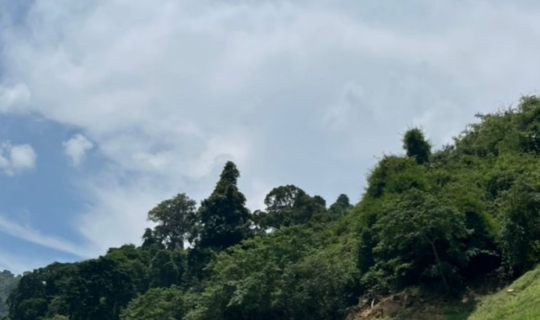 cover คิดถึงเขา ถ้าจะหาเขาใกล้ๆ ก็คงหนีไม่พ้น 'เขาช่องลม' นครนายก (อีกมุมที่ทุกคนอาจจะไม่เคยเห็น)