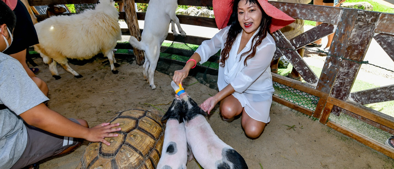 cover .....รีวิว ครอบครัวสุขสันต์ ที่ ถาวร ปาล์ม บีช รีสอร์ท ภูเก็ต Thavorn Palm Beach Resort Phuket กับ แม่ประนอม จ้า