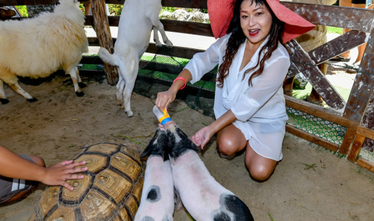 Cover .....รีวิว  ครอบครัวสุขสันต์  ที่  ถาวร ปาล์ม บีช รีสอร์ท ภูเก็ต  Th...