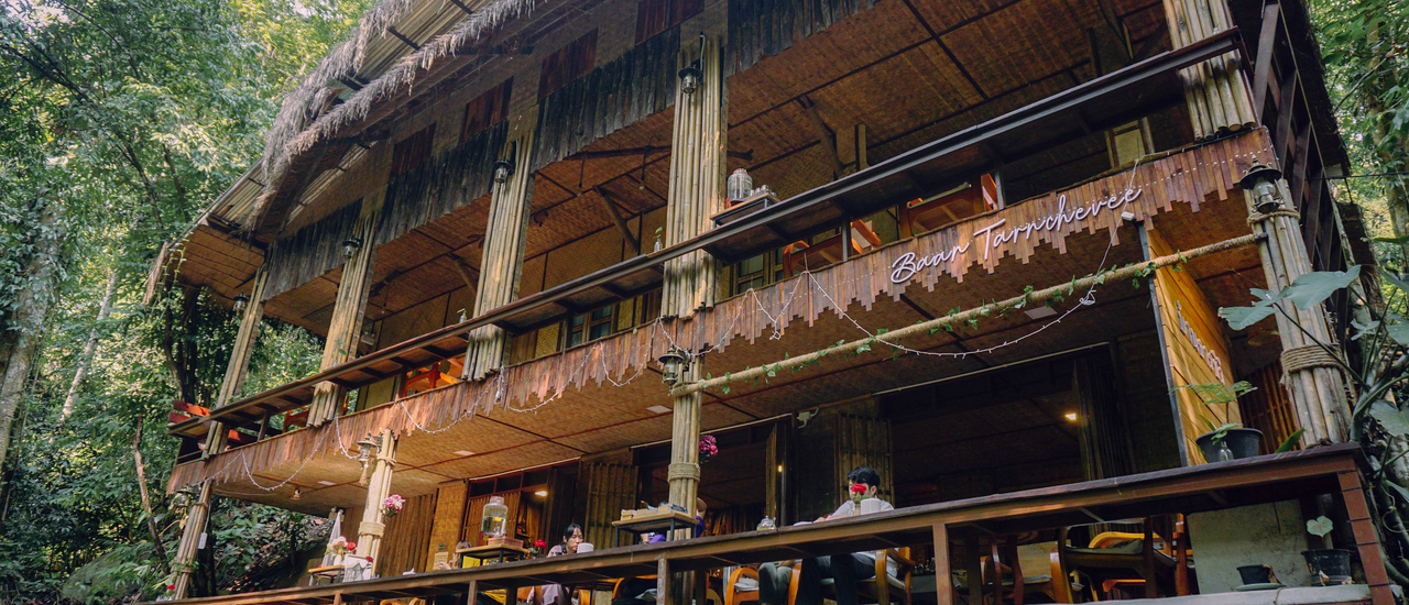 cover "บ้านธารชีวี" 750 บาท/คน ณ หมู่บ้านแม่แมะ เชียงดาว | Bliss Out There