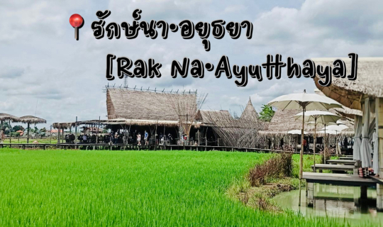 cover One Day Trip เช็คอินคาเฟ่ • อยุธยา