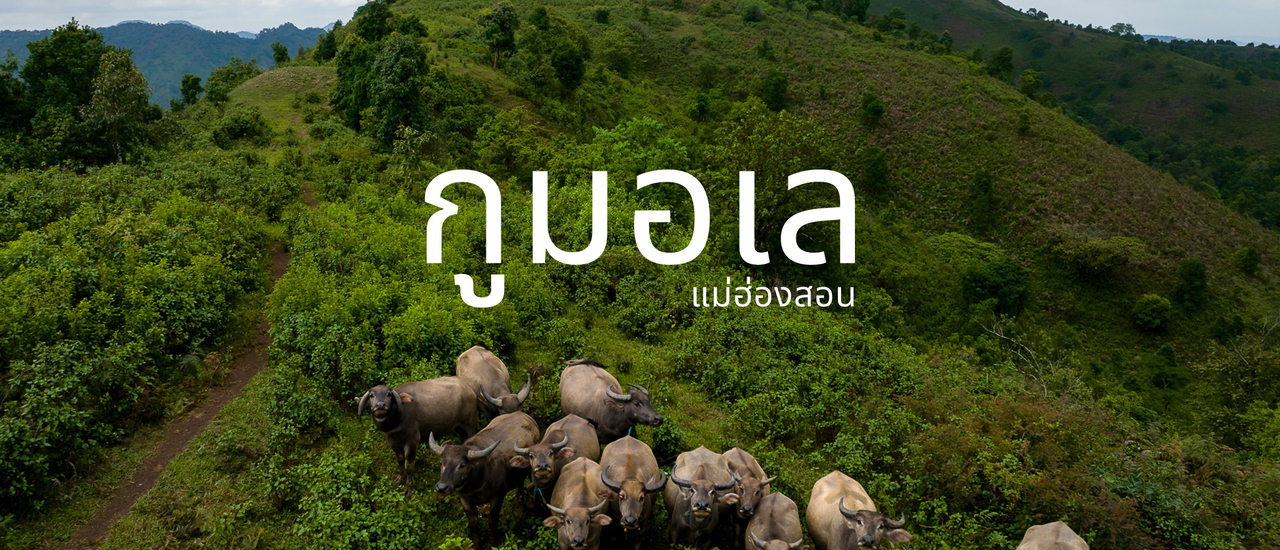 cover ดอยกูมอเล แม่ฮ่องสอน