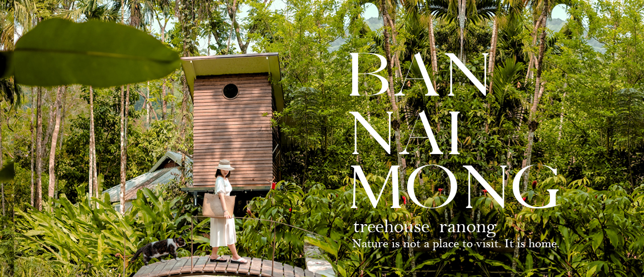 cover บ้านในหมง 🌳🐝𝙏𝙧𝙚𝙚 𝙝𝙤𝙪𝙨𝙚 𝙍𝙖𝙣𝙤𝙣𝙜  ไปพักแล้วจะหลงรักขึ้นไม่ไหว 🎯